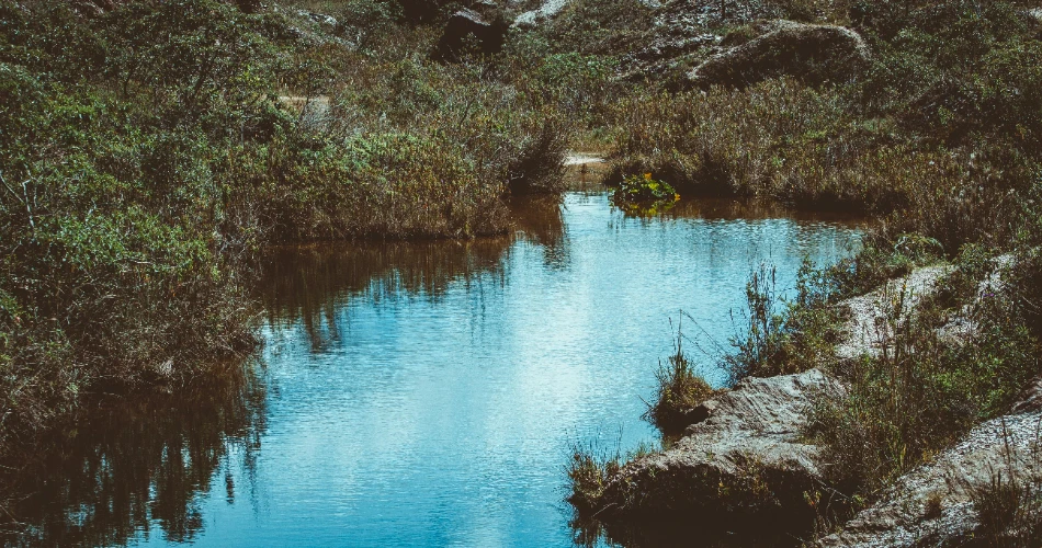 Carpinteria CA Bucket List: 10 Things to Do