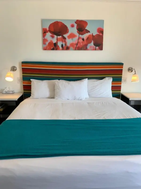 Sandyland Reef Inn Main image