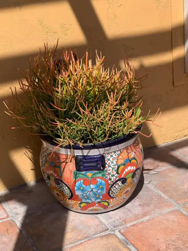 Sandyland Reef Inn 9