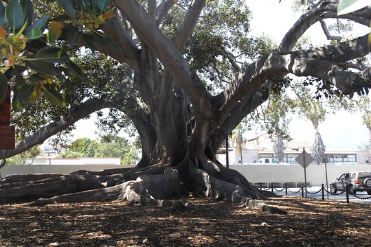 Tour image 4